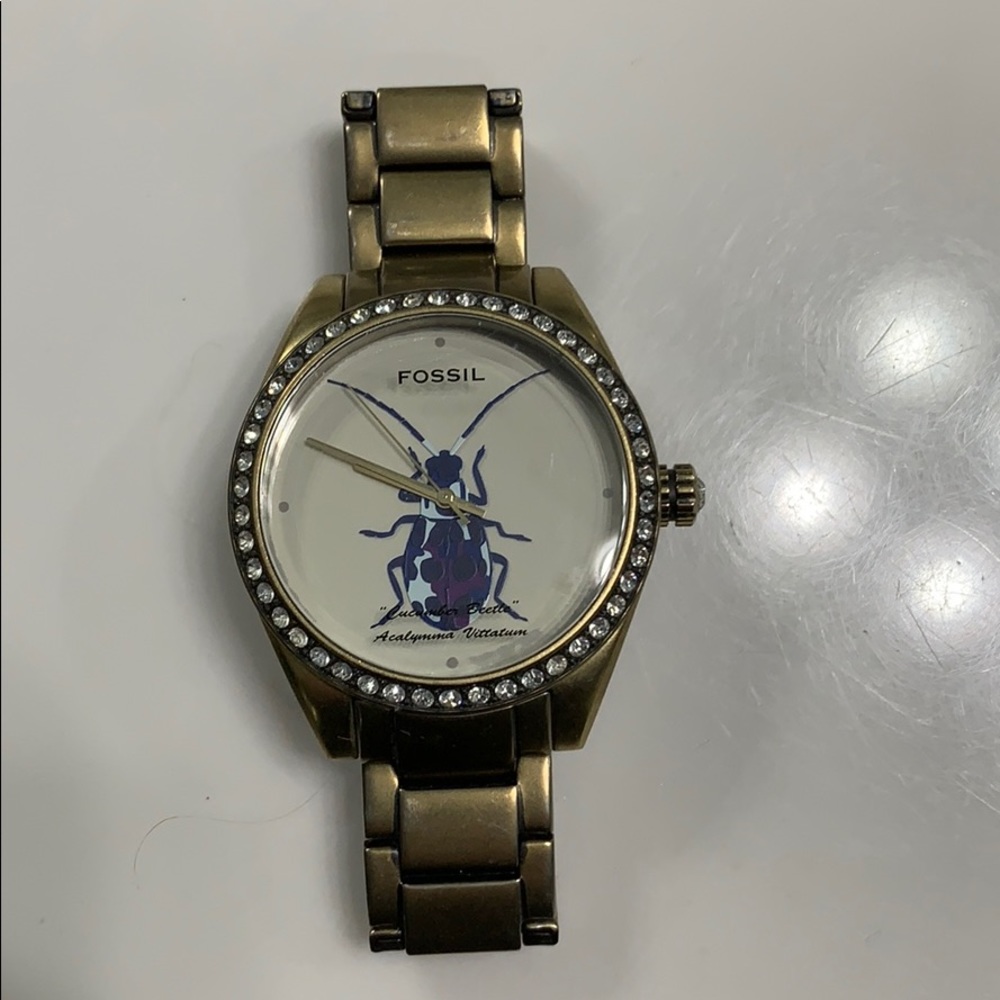 Fossil watch